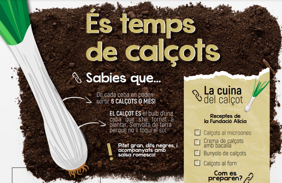 Calçot